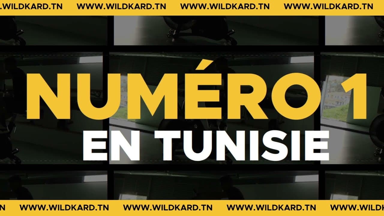 Thumbnail for Wildkard — Product Demo (French)